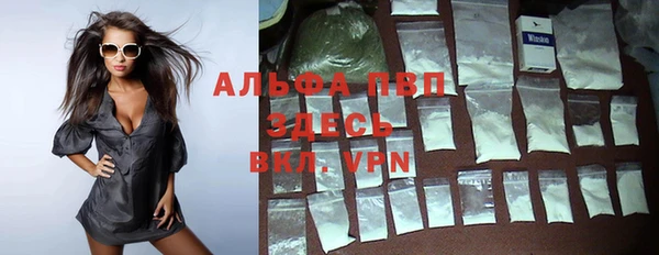 молекула духа Белоозёрский