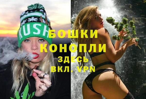 молекула духа Белоозёрский
