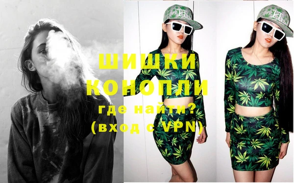 молекула духа Белоозёрский