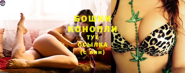 молекула духа Белоозёрский