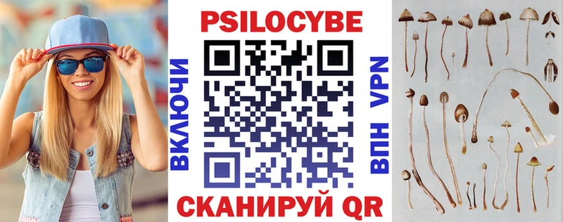 Псилоцибиновые грибы Magic Shrooms  закладка  Мензелинск 